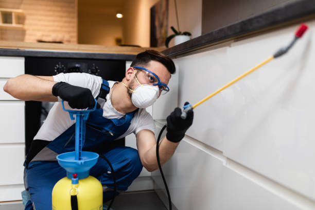 Best Pest Removal Services  in Robins Af, GA