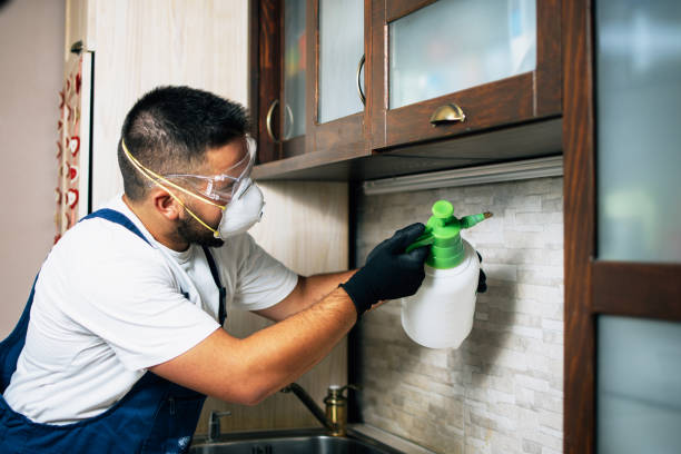 Best Affordable Pest Control Services  in Robins Af, GA
