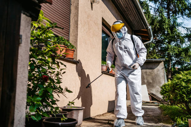 Best Rat Extermination Near Me  in Robins Af, GA