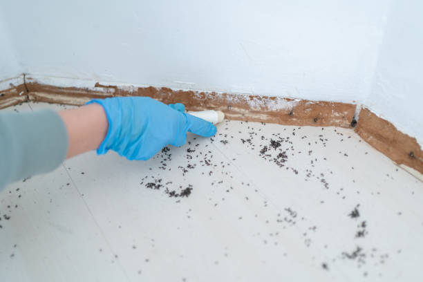 Best Cockroach Control Services  in Robins Af, GA